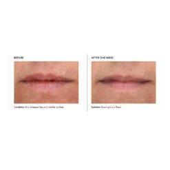 PCA Skin Overnight Lip Mask (0.46 Oz) -PureVita Store PCAV190418 BA3